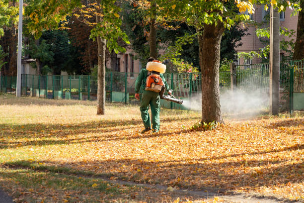 Bird Control in Farrell, PA